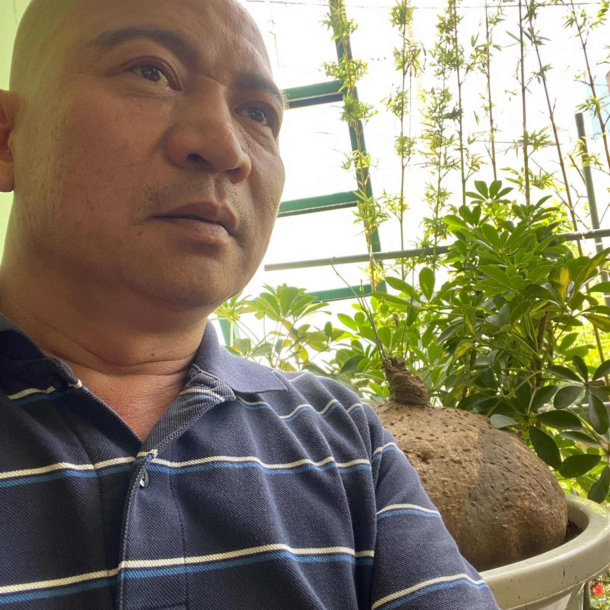 Trần Phòng Tuyến